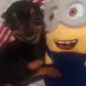 No •