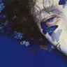 A. N.