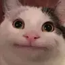 A C