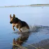 Maciej Rus