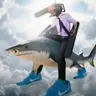 WlloX