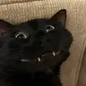 mike