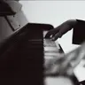 Little Pianist