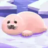 Kuru Bi
