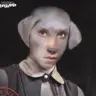 benzoesan sodu