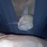 Katarzyna B.
