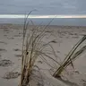 D G
