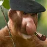 Mir